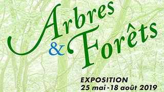 Exposition "Arbres et Forêts" | Galerie du Boléro | du 25.05.19 au 18.08.19 | ma-di 15h-18h