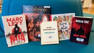 Les romans et les BD les plus empruntés à la Bibliothèque du Boléro en 2022